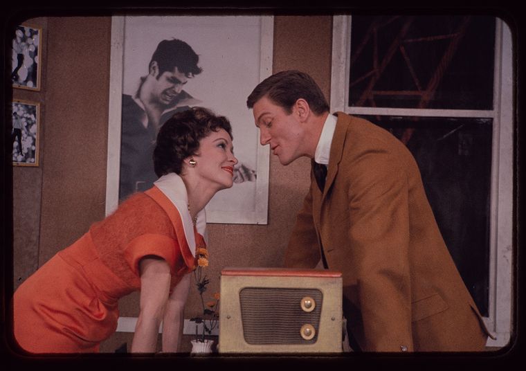 Chita Rivera and Dick Van Dyke in Bye Bye Birdie (© Friedman-Abeles/New York Public Library for the Performing Arts)